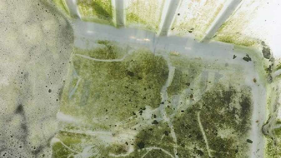 تازه ها آژینه